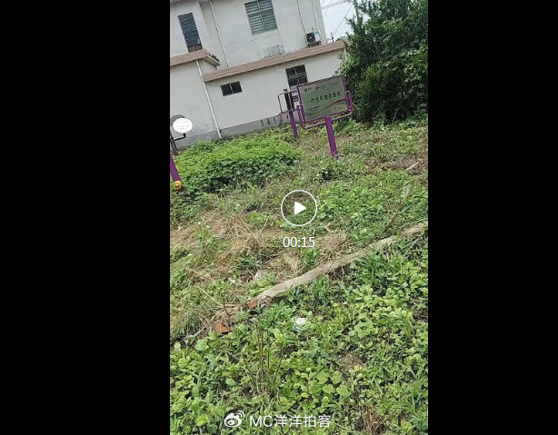 惠民健身场地沦为荒草空地 草堰镇三新村民生工程遭闲置